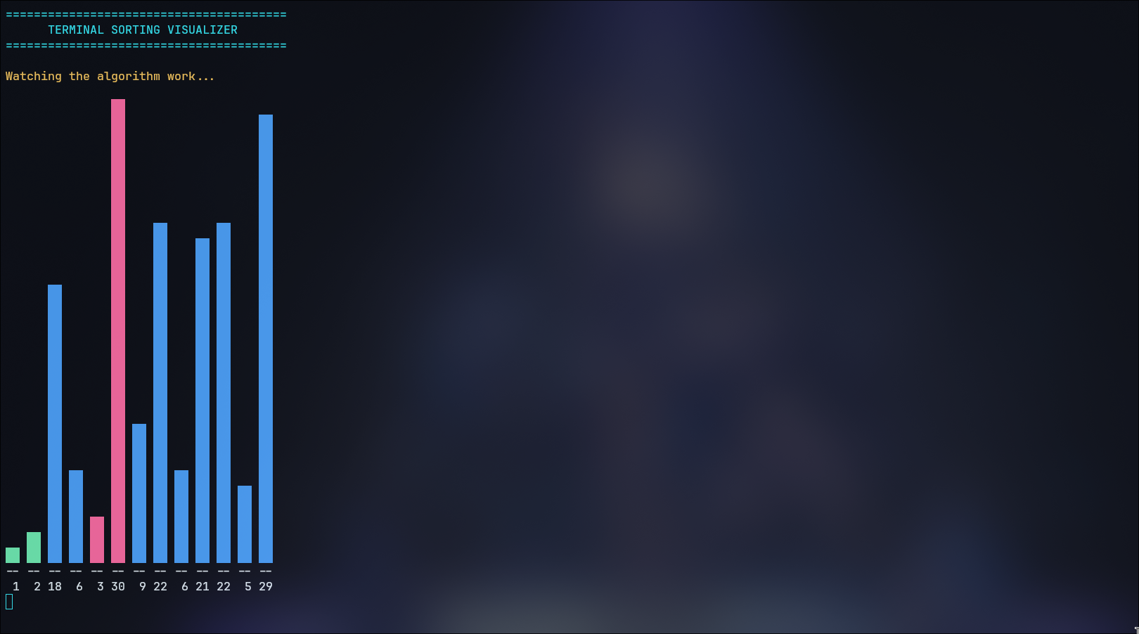 Placeholder image for sorting visualizer project